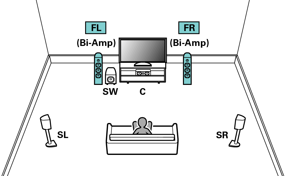 Pict AmpAssign 5.1 BiAmp